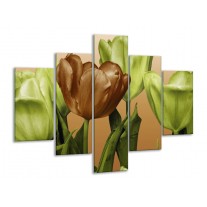 Glas schilderij Tulp | Groen, Bruin, Wit | 100x70cm 5Luik