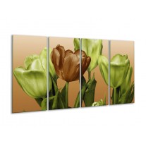 Glas schilderij Tulp | Groen, Bruin, Wit | 160x80cm 4Luik