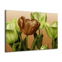 Glas schilderij Tulp | Groen, Bruin, Wit | 70x50cm 1Luik