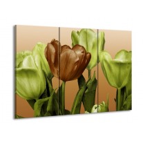 Canvas schilderij Tulp | Groen, Bruin, Wit | 90x60cm 3Luik