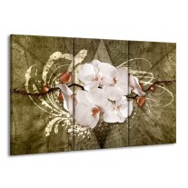 Canvas schilderij Orchidee | Goud, Wit, Bruin | 165x100cm 3Luik