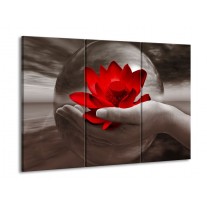 Glas schilderij Bloem | Rood, Sepia, Grijs | 90x60cm 3Luik