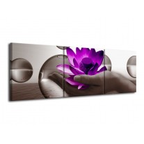 Canvas schilderij Bloem | Paars, Grijs | 120x40cm 3Luik