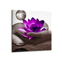 Glas schilderij Bloem | Paars, Grijs | 70x70cm 1Luik