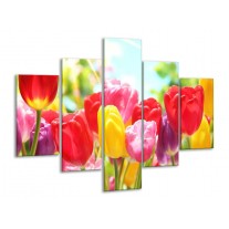 Glas schilderij Tulpen | Rood, Geel, Paars | 100x70cm 5Luik