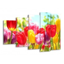 Glas schilderij Tulpen | Rood, Geel, Paars | 150x100cm 5Luik