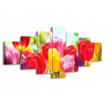 Glas schilderij Tulpen | Rood, Geel, Paars | 210x100cm 7Luik