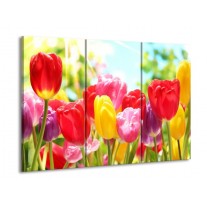 Canvas schilderij Tulpen | Rood, Geel, Paars | 90x60cm 3Luik