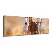 Canvas schilderij Paard | Bruin, Wit, Crème | 120x40cm 3Luik