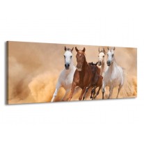 Canvas schilderij Paard | Bruin, Wit, Crème | 145x58cm 1Luik
