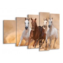 Glas schilderij Paard | Bruin, Wit, Crème | 150x100cm 5Luik