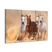 Canvas schilderij Paard | Bruin, Wit, Crème | 90x60cm 3Luik