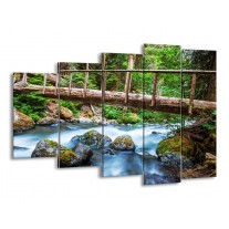Canvas schilderij Natuur | Groen, Grijs | 150x100cm 5Luik
