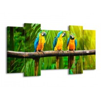 Canvas schilderij Vogels | Groen, Oranje, Blauw | 120x65 5Luik