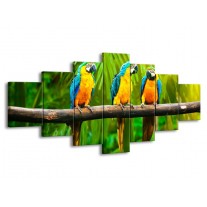 Glas schilderij Vogels | Groen, Oranje, Blauw | 210x100cm 7Luik