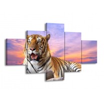 Glas schilderij Tijger | Bruin, Wit, Blauw | 125x70cm 5Luik