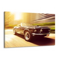 Canvas schilderij Mustang | Groen, Geel | 140x90cm 1Luik