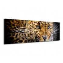 Glas schilderij Luipaard | Bruin, Zwart | 120x40cm 3Luik