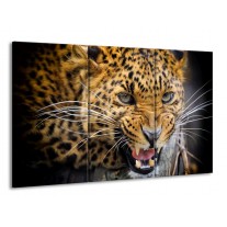 Canvas schilderij Luipaard | Bruin, Zwart | 165x100cm 3Luik