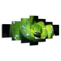 Glas schilderij Natuur | Groen, Zwart | 210x100cm 7Luik