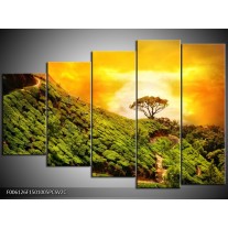 Klok schilderij Natuur | Groen, Oranje, Geel | 150x100cm 5Luik