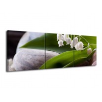 Glas schilderij Bloemen | Groen, Wit, Grijs | 120x40cm 3Luik