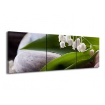 Glas schilderij Bloemen | Groen, Wit, Grijs | 150x50cm 3Luik