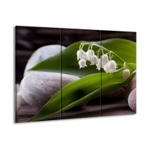 Glas schilderij Bloemen | Groen, Wit, Grijs | 90x60cm 3Luik