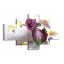 Canvas schilderij Spa | Paars, Wit | 125x70cm 5Luik