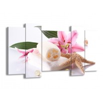 Canvas schilderij Spa | Roze, Wit | 120x65 5Luik