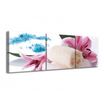 Canvas schilderij Spa | Roze, Wit, Blauw | 150x50cm 3Luik