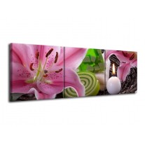Canvas schilderij Spa | Roze, Groen | 120x40cm 3Luik