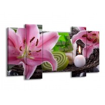 Canvas schilderij Spa | Roze, Groen | 120x65 5Luik