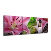 Canvas schilderij Spa | Roze, Groen | 150x50cm 3Luik