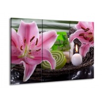 Canvas schilderij Spa | Roze, Groen | 90x60cm 3Luik