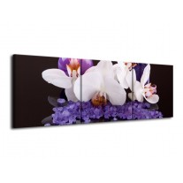 Glas schilderij Spa | Paars, Wit, Zwart | 120x40cm 3Luik