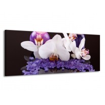 Canvas schilderij Spa | Paars, Wit, Zwart | 145x58cm 1Luik