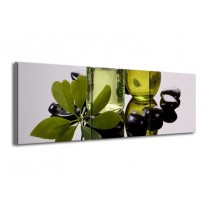 Glas schilderij Olijven | Groen, Grijs | 150x50cm 3Luik
