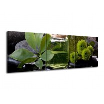 Canvas schilderij Olijven | Groen, Zwart | 120x40cm 3Luik