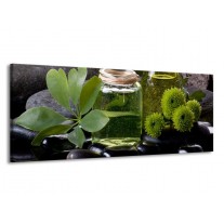 Glas schilderij Olijven | Groen, Zwart | 145x58cm 1Luik