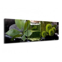 Glas schilderij Olijven | Groen, Zwart | 150x50cm 3Luik