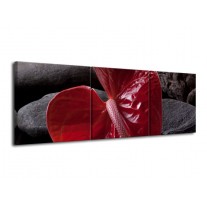 Glas schilderij Spa | Rood, Grijs, Zwart | 120x40cm 3Luik