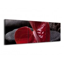 Glas schilderij Spa | Rood, Grijs, Zwart | 150x50cm 3Luik