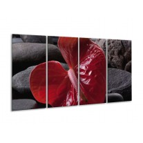 Glas schilderij Spa | Rood, Grijs, Zwart | 160x80cm 4Luik