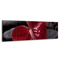 Canvas schilderij Spa | Rood, Grijs, Zwart | 170x50cm 3Luik
