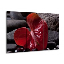 Glas schilderij Spa | Rood, Grijs, Zwart | 90x60cm 3Luik