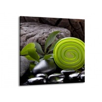 Glas schilderij Spa | Groen, Zwart | 50x50cm 1Luik
