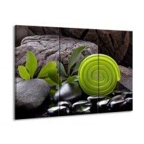 Glas schilderij Spa | Groen, Zwart | 90x60cm 3Luik