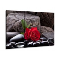 Glas schilderij Roos | Rood, Zwart | 90x60cm 3Luik