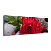 Canvas schilderij Roos | Rood, Zwart, Groen | 150x50cm 3Luik